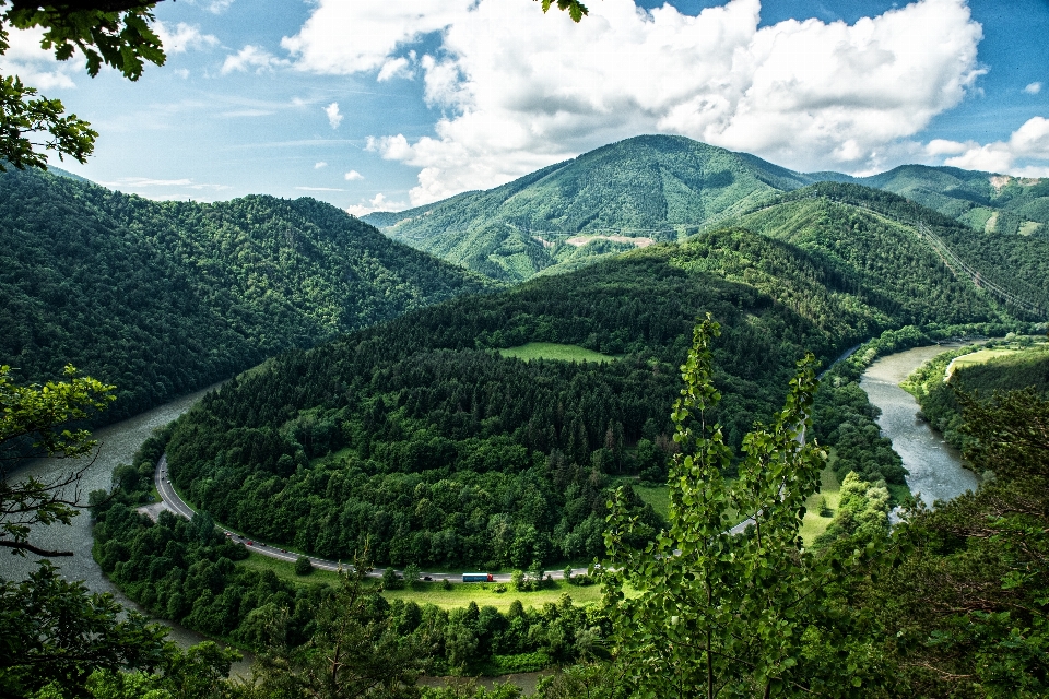 пейзаж дерево вода природа