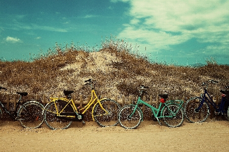 Foto Laut alam rumput pasir