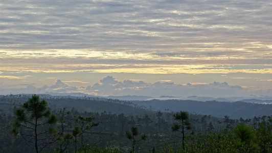 Landscape nature forest horizon Photo