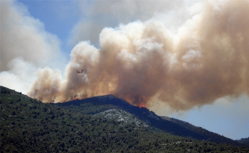 Foto Foresta montagna nube campo