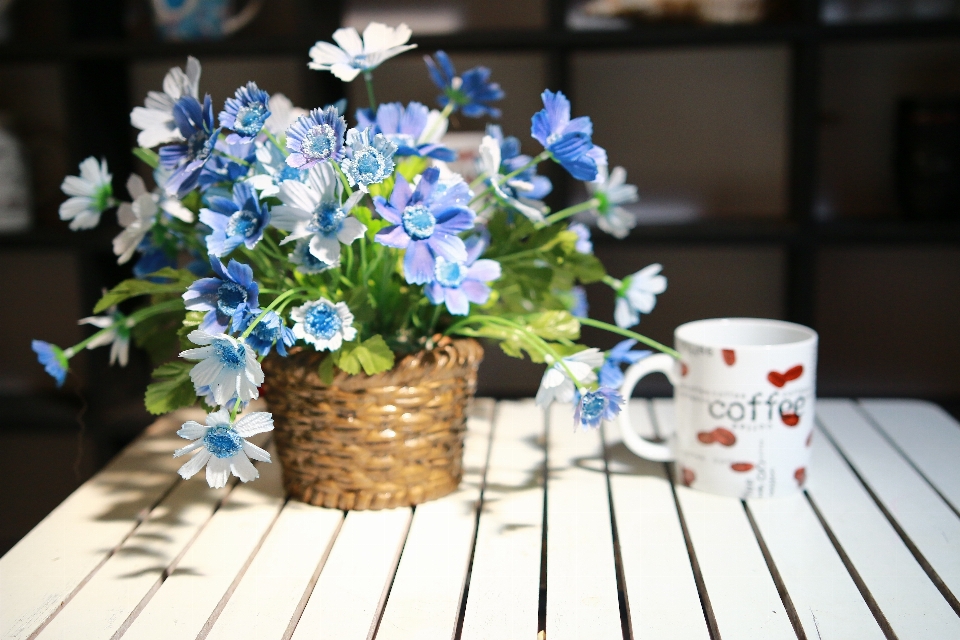 テーブル 植物 花 カップ