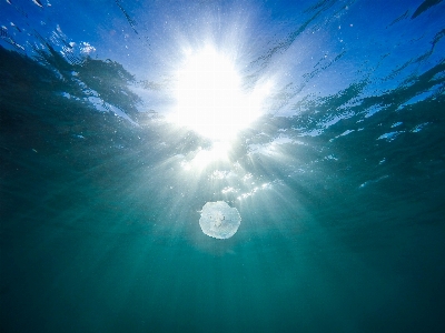 Sea water ocean horizon Photo