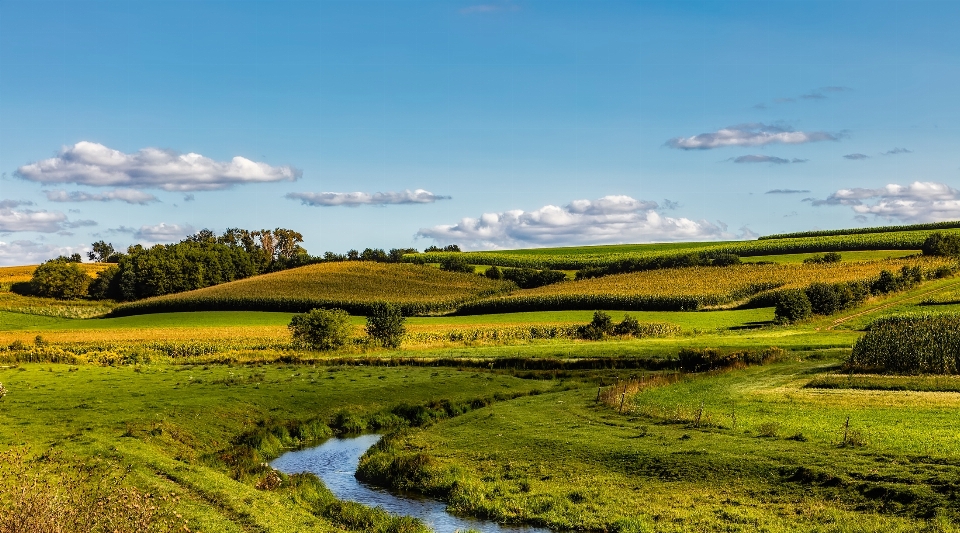 Krajobraz woda natura trawa