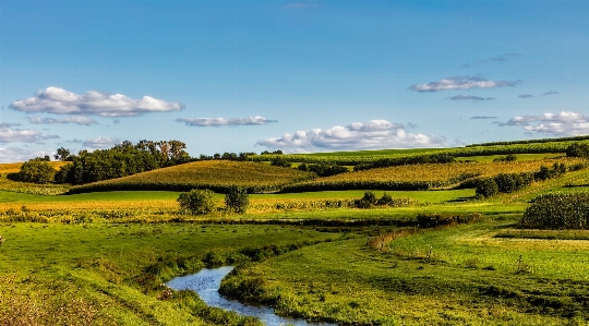 Foto Paisagem água natureza grama