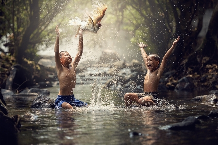 Tree water nature outdoor Photo