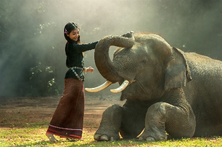 Foto Alam hitam dan putih
 gadis margasatwa