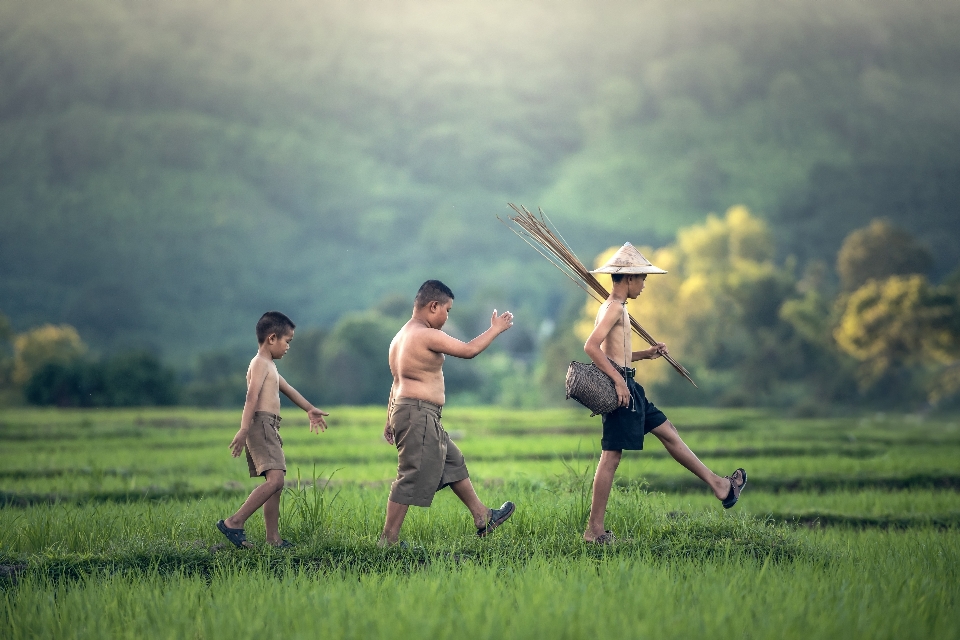 Water grass outdoor people