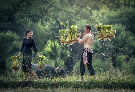 Water forest grass outdoor Photo