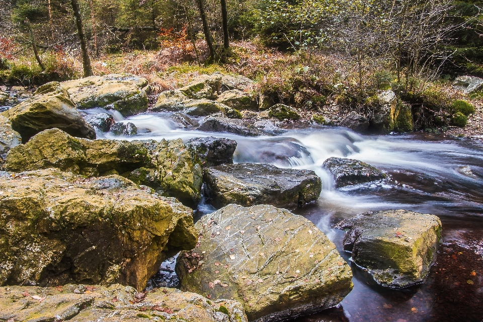 Landschaft wasser natur wald