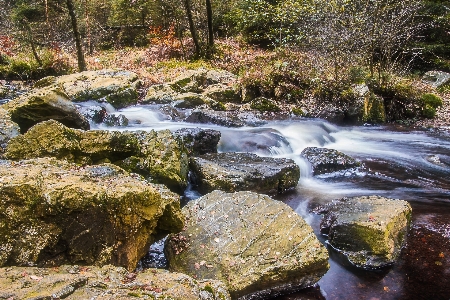 Landscape water nature forest Photo