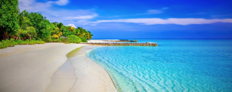 Beach sea coast water