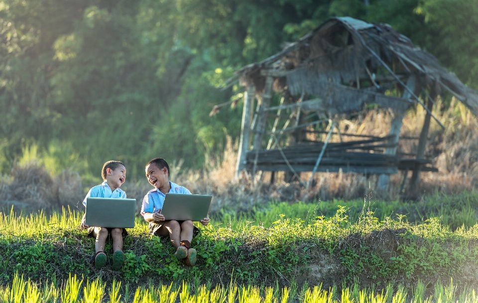 Laptop nature grass outdoor