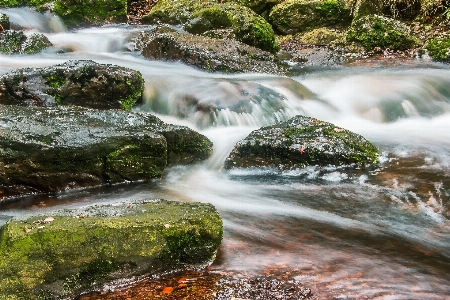 Landscape water nature forest Photo