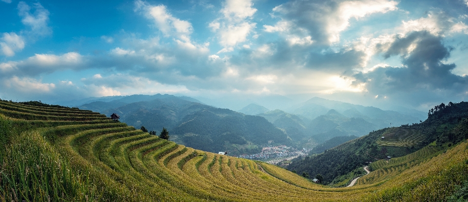 Landscape nature grass mountain