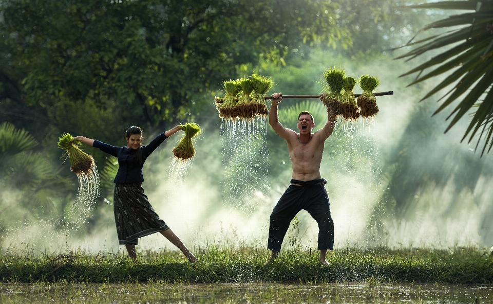 Water grass outdoor people