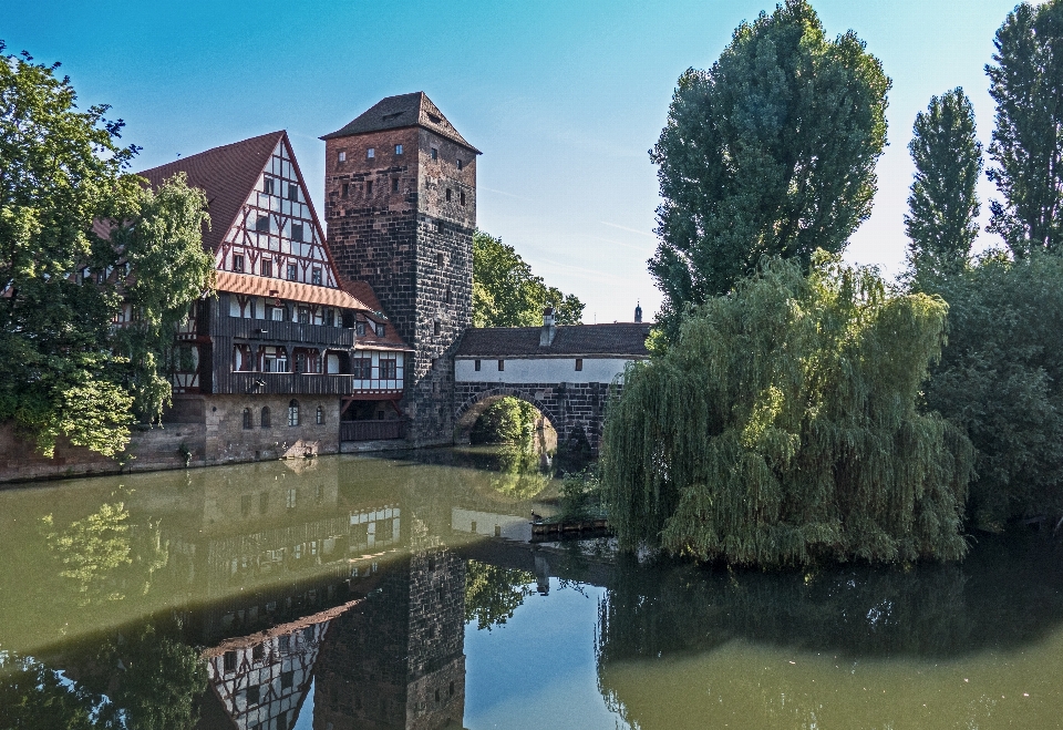 Albero architettura casa chateau
