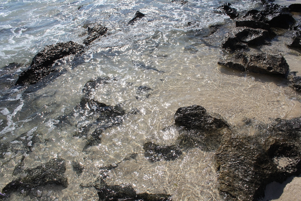 海滩 海 海岸 水