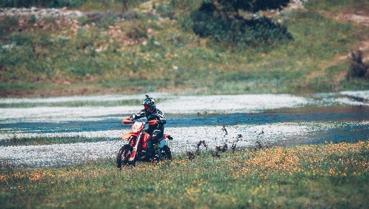 運転中 自転車 車両 オートバイ 写真