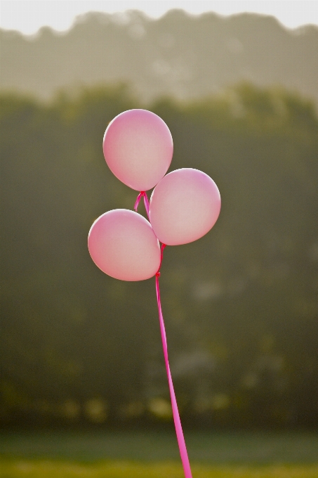 Chica flor pétalo globo