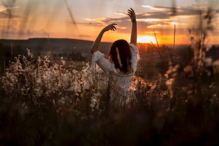 Bird woman sunset sunlight Photo