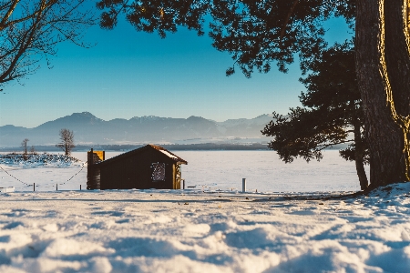 木 山 雪 冬 写真