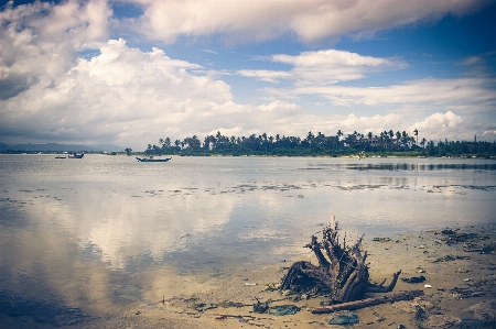 Landscape sea coast water Photo