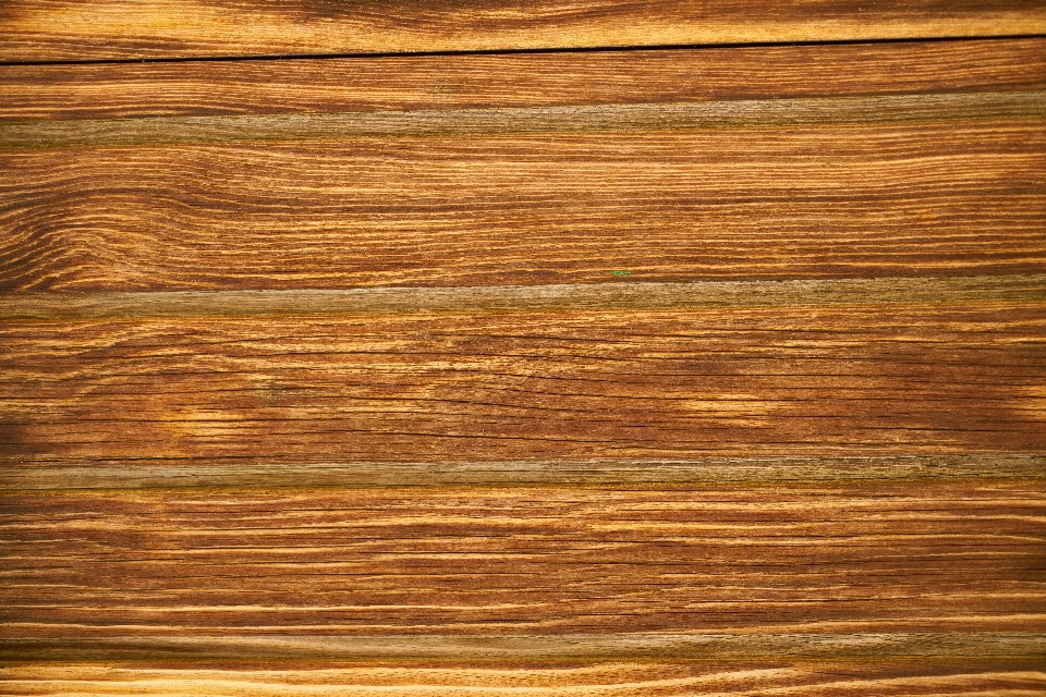 Table tree wood texture