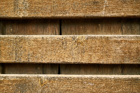 Tree wood texture plank Photo