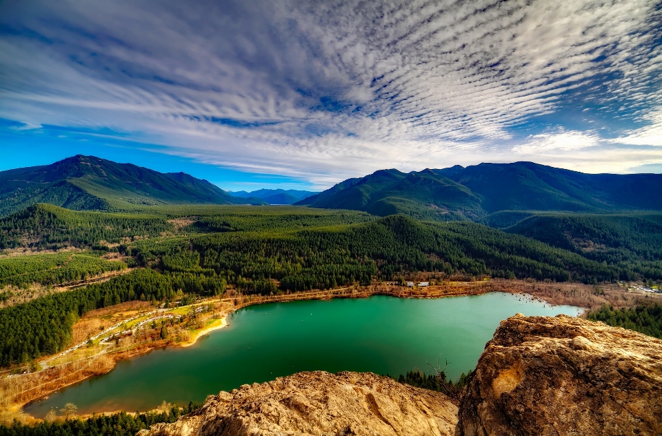 Landscape water nature forest