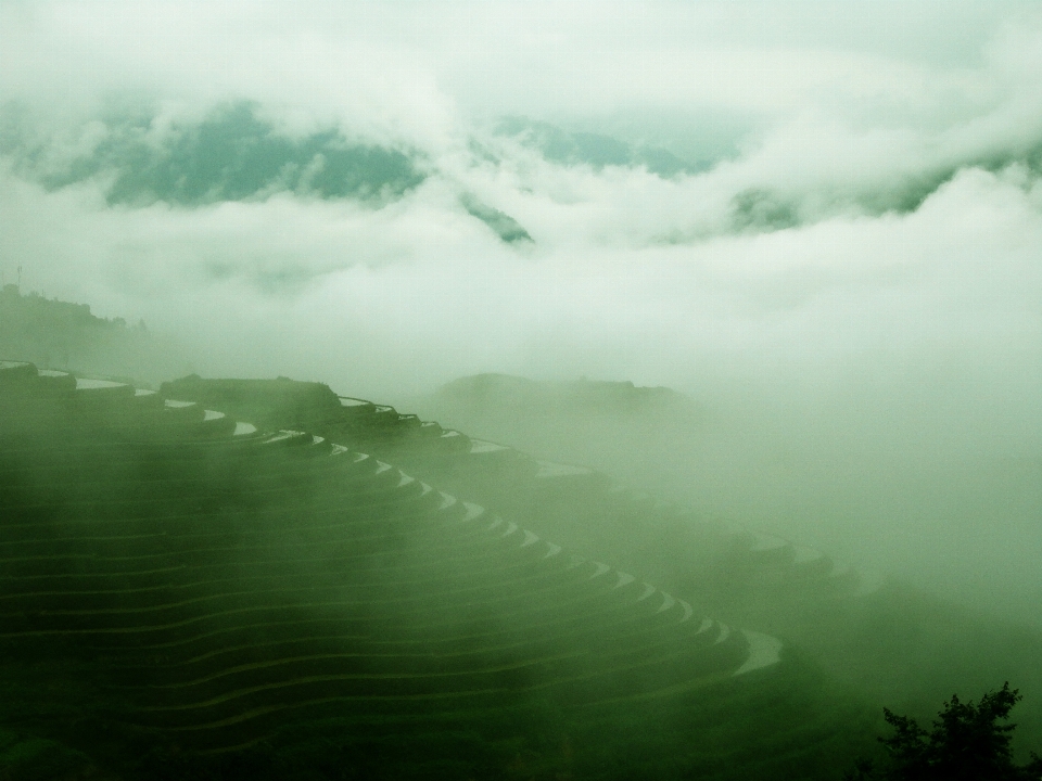 Nature herbe horizon montagne