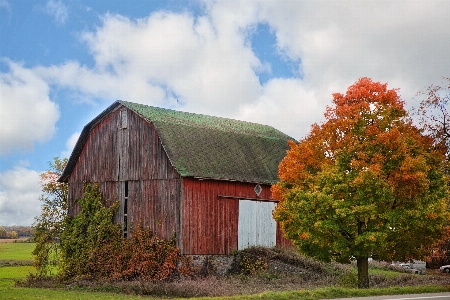 Landscape tree nature farm Photo