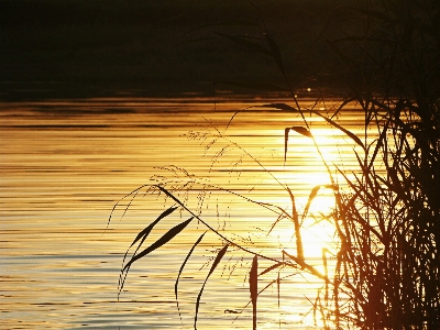 Foto Acqua natura leggero cielo