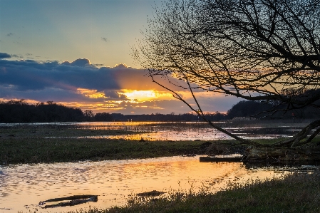 風景 海 木 水 写真