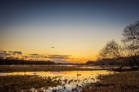 Landscape tree water nature Photo