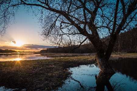 Foto Paisagem mar árvore água