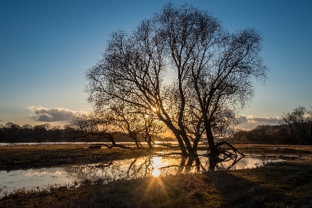 Landscape tree water nature Photo