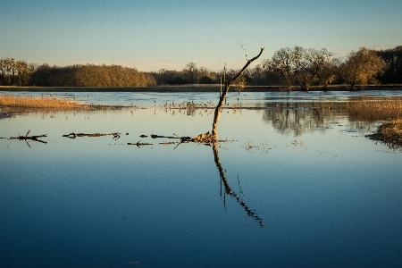 Foto Paesaggio albero acqua natura