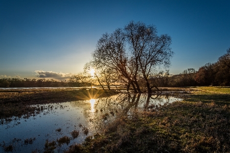 Landscape tree water nature Photo