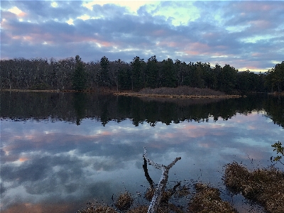 Landscape tree water nature Photo