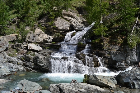 Foto Paesaggio acqua natura foresta