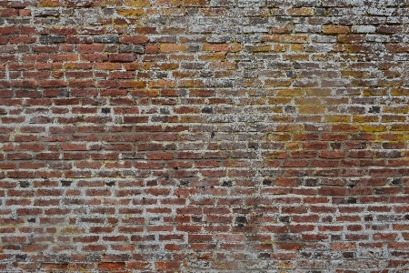 Texture floor wall stone Photo