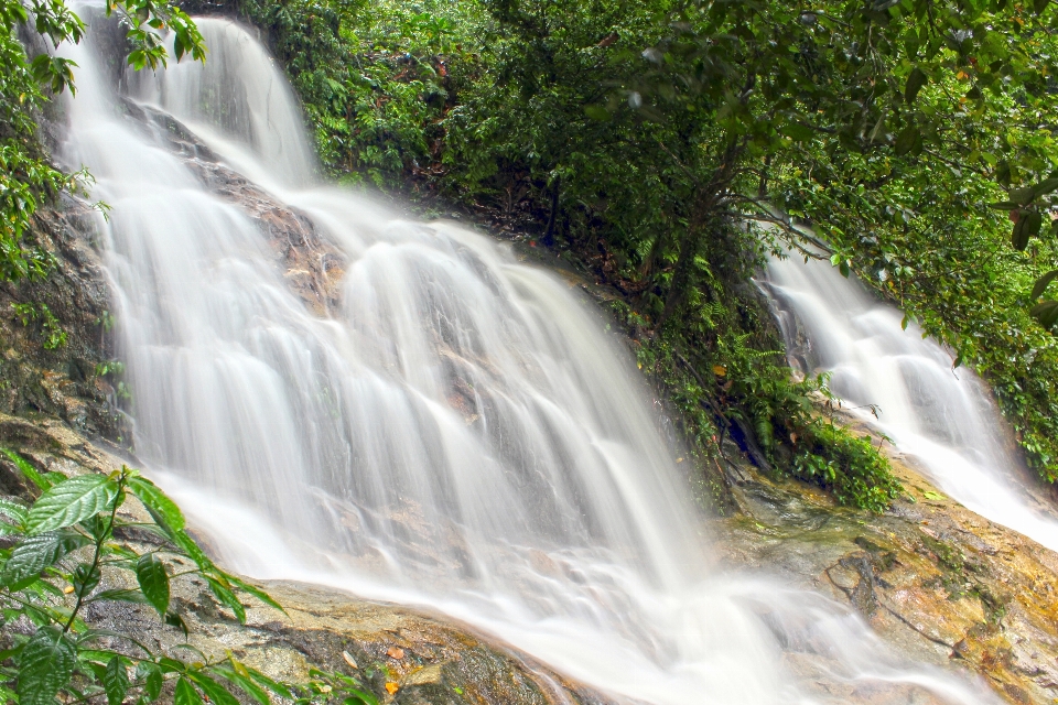 Acqua natura cascata stream