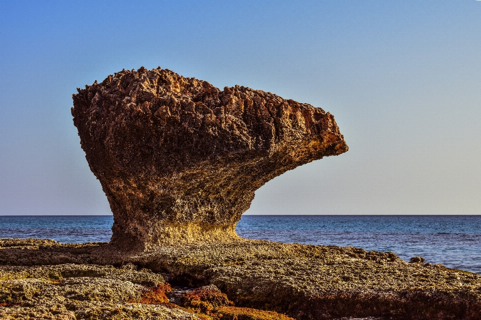 пляж пейзаж море побережье