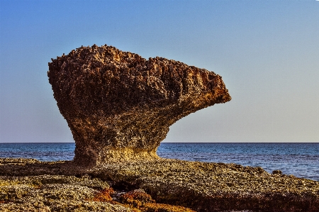 Beach landscape sea coast Photo