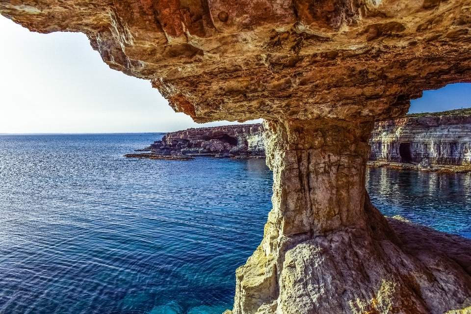 Paesaggio mare costa albero