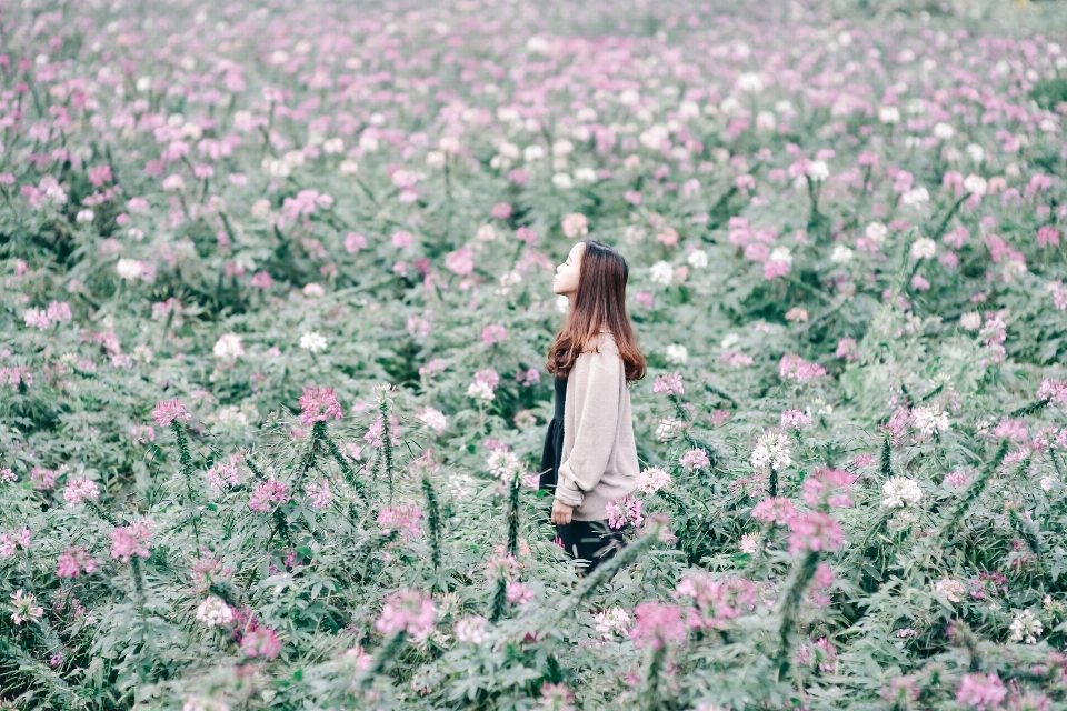 Nature grass blossom people