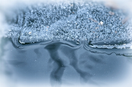 水 自然 雪 冬 写真