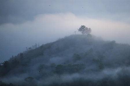 Landscape nature forest mountain Photo