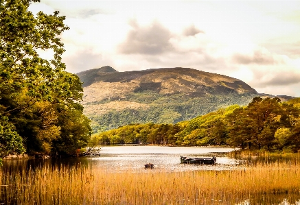 Foto Paisaje árbol agua naturaleza