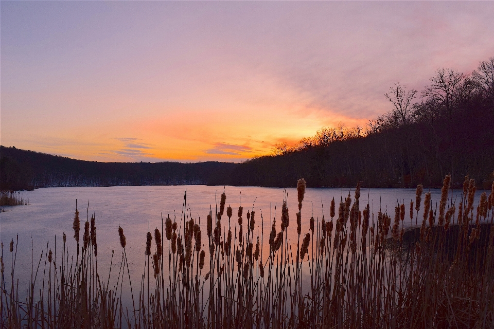 Landscape water nature horizon